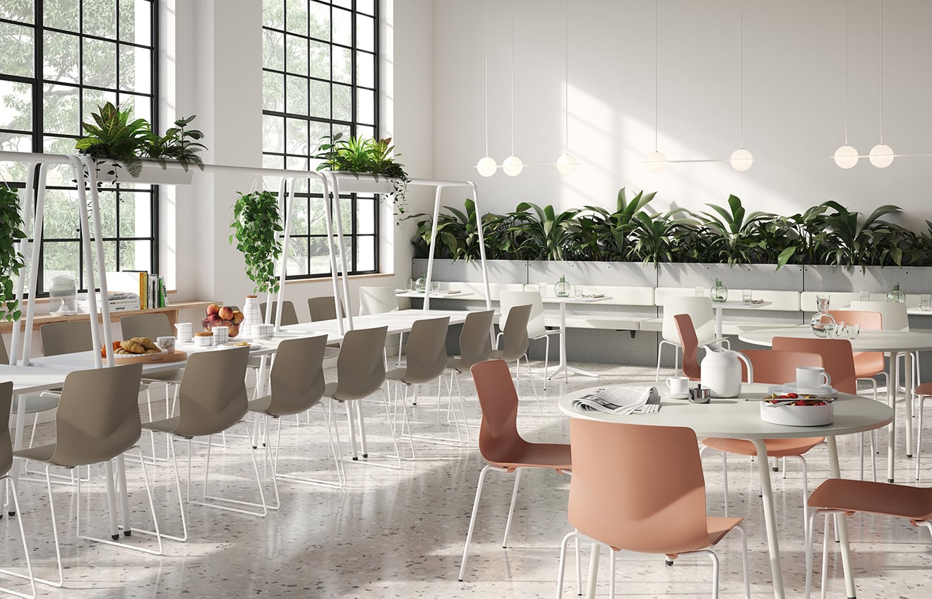 A dining room with a long table and meeting table chairs